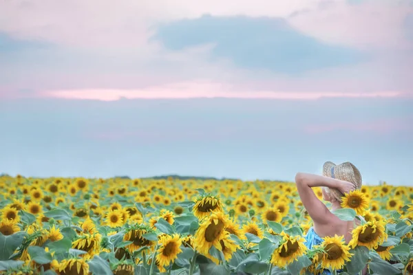 Ayçiçeği tarlası olarak Hasır Şapkalı bir kız.