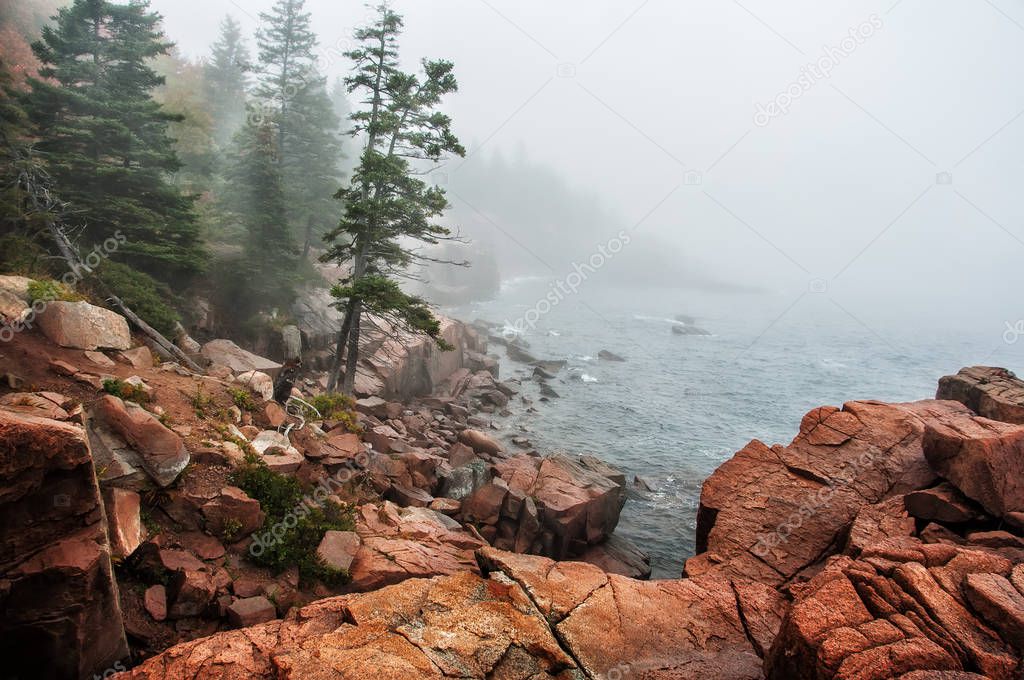 Ocean, coast, beach, fog, haze, mystical, Atlantic, mystical, mysterious, park, national, acadia, man, usa, rocks, stones, pines, trees, long exposure, water, waves, rocky