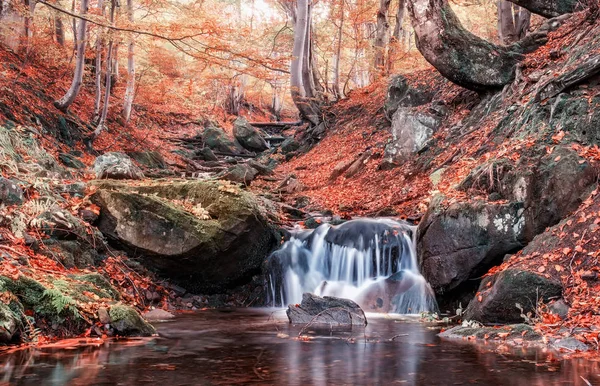 Um belo outono brilhante na floresta. Um rio com uma cachoeira, árvores com folhas brilhantes . — Fotografia de Stock