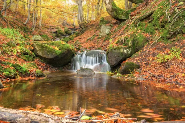 Um belo outono brilhante na floresta. Um rio com uma cachoeira, árvores com folhas brilhantes . — Fotografia de Stock