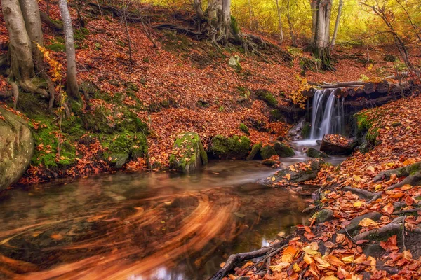 Parlak güzel sonbahar ormanın içinde. Bir nehir bir şelale, ağaçlar parlak yaprakları ile. — Stok fotoğraf