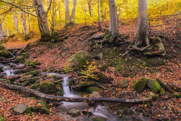 Um belo outono brilhante na floresta. Um rio com uma cachoeira, árvores com folhas brilhantes . — Fotografia de Stock