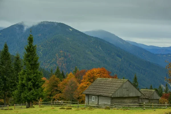 Fából készült régi egyszerű házak egy tisztáson, sárga fák és a zöld hegyek között. — Stock Fotó