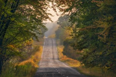 Sabahın erken saatlerinde güzel doğa arasında yol.