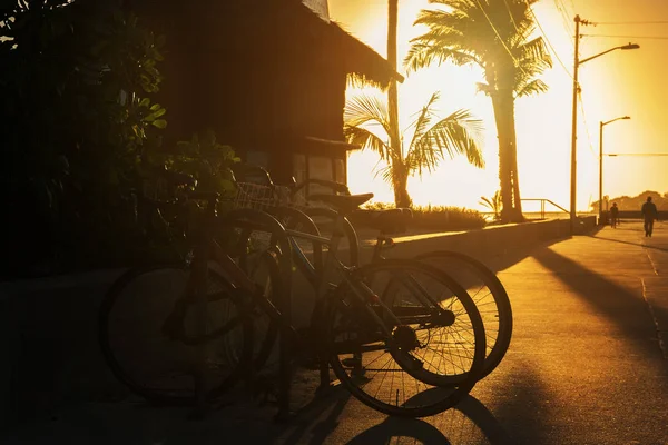 Terrapieno sull'oceano, biciclette parcheggiate . — Foto Stock