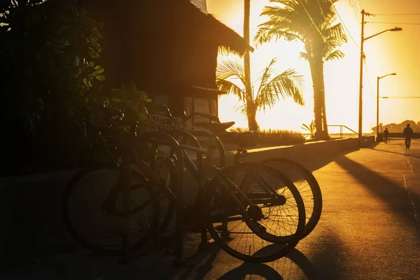 Vallen på havet, parkerade cyklar. — Stockfoto