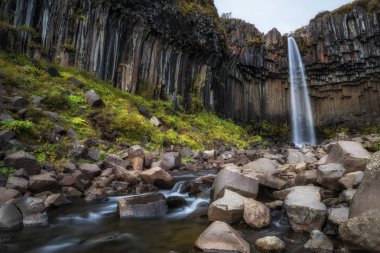  İzlanda Svartifoss şelaleler. 