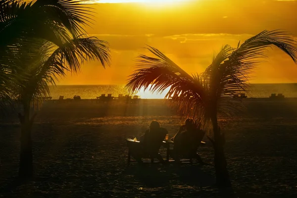 Couple assis dans des chaises longues au coucher du soleil sur une plage sous les palmiers . — Photo