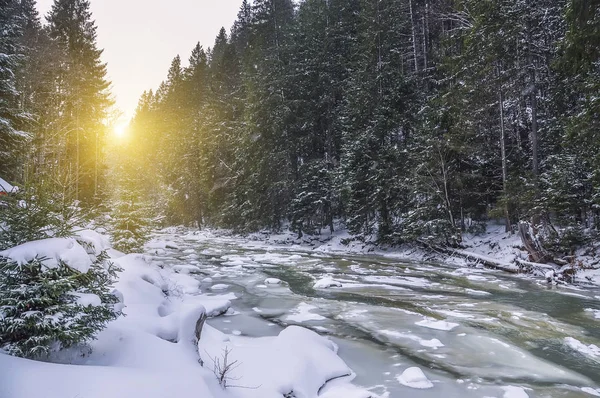 Зимовий Пейзаж Річка Крижана Серед Могутніх Ялинових Дерев Покритих Снігом — стокове фото