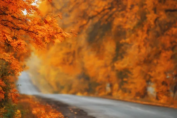 A fabulous autumn road. Golden leaves. road leaving in a foggy distance. Selective soft focus.
