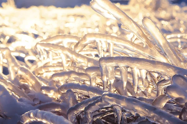 Gras Ist Mit Eiskruste Bedeckt Die Vor Dem Hintergrund Des — Stockfoto