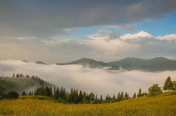 山の中の朝早く 谷の山の間の霧草と花 草に覆われた緑の斜面 夏の美しい朝の景色 — ストック写真