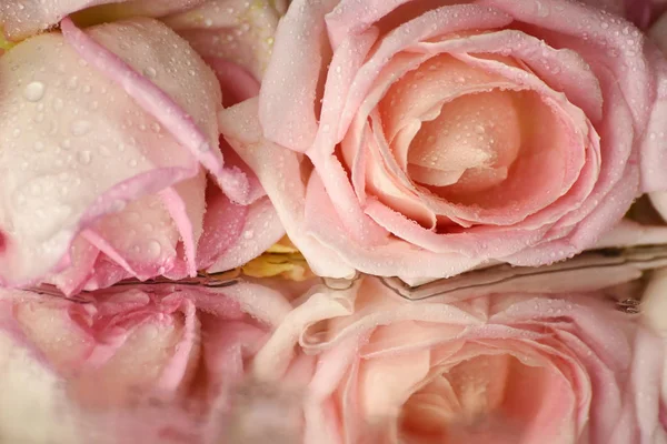 Zarte Blüten Rosa Rosen Wassertropfen Nahaufnahme Auf Nassem Hintergrund — Stockfoto