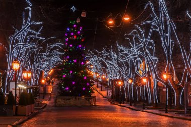 Işıklar, Noel ağacının çelenk, şehrin merkezi eski sokak ile dekore edilmiştir. Gece fotoğraf. Bir dizi eski sokak lambaları. Odessa. Ukrayna. Deribasovskaya sokak. Seçici odak.