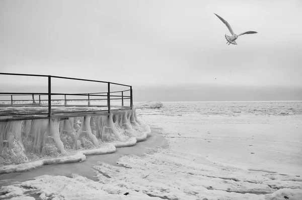 The frozen sea and the iron round pier in ice floes. ice winter expanse of the sea. Minimalism. Monotone, black and white,