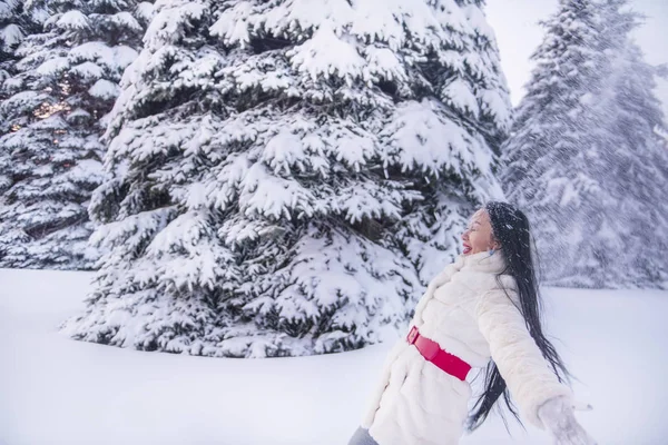 Une Fille Apparence Orientale Intéressante Avec Longs Cheveux Dans Une — Photo