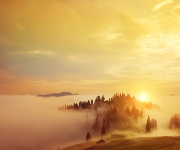 Frühen Morgen Den Bergen Die Spitze Des Hügels Mit Den — Stockfoto