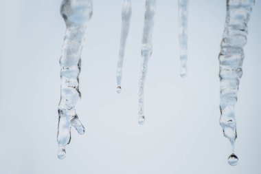 Açık renkli yakın çekim üzerinde eriyen buz sarkıtları.