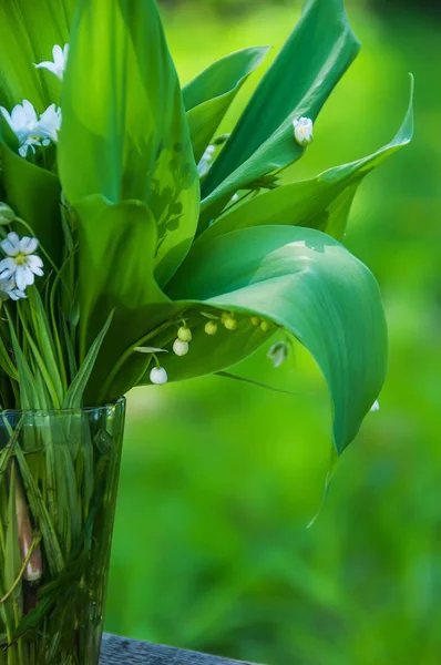 Букет Лесные Лилии Долины Нежные Белые Цветы Стакане Сочный Зеленый — стоковое фото