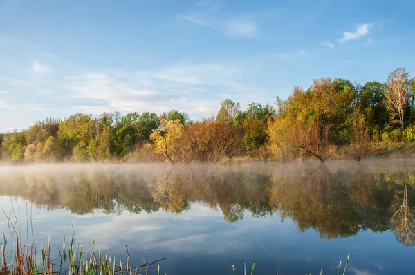 Early morning on the river. Fog over the water, trees with bright spring foliage. Soft gentle light.