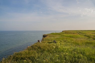 Vahşi dik sahil deniz. Yemyeşil yeşil çim ve çiçek dik bir uçurumun üzerinde.