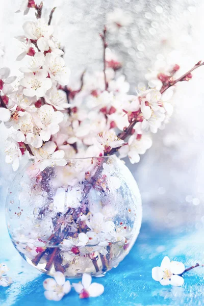 Mycket Mild Konst Foto Akvarell Grenar Blommande Fruktträd Transparent Vas — Stockfoto
