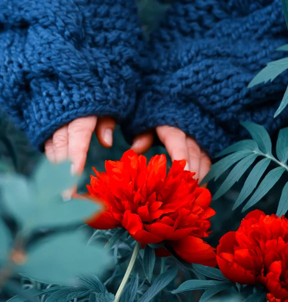 Manos Una Gran Blusa Punto Áspero Cerca Flores Florecientes Peonías — Foto de Stock