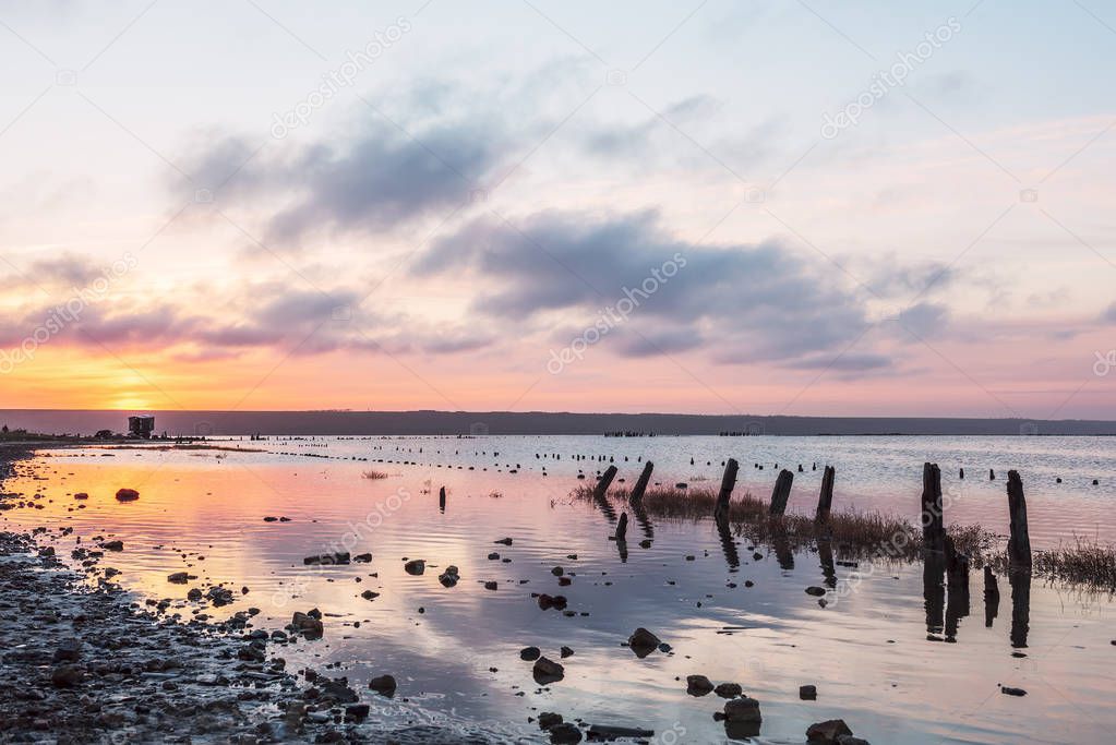 Sunset on the shore of the lake. Calm water surface, old stalks in the water, the reflection of the setting sun. A calm evening picture.