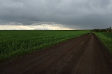 Toprak yol mesafe içine uzanan yeşil alanlar arasında. Güzel bir akşam fırtınalı gökyüzü.