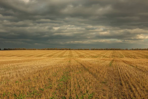 Połacie Pól Zbiorach — Zdjęcie stockowe