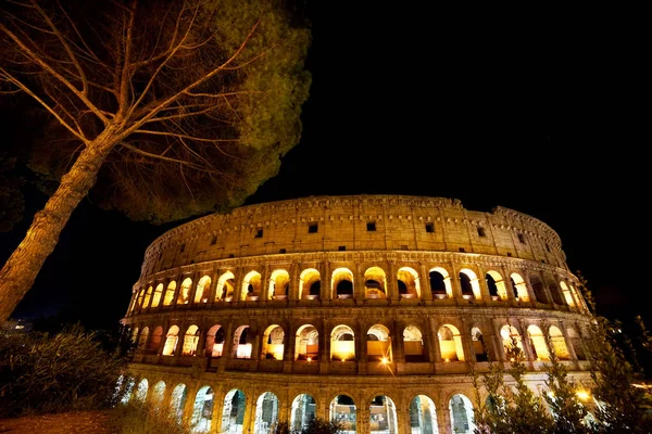 Vista Del Coliseum Notturno Corona Albero Enorme Prospettiva Insolita Notte — Foto Stock