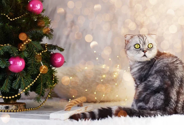 Paisaje Navideño Año Nuevo Las Ramas Árbol Navidad Con Juguetes —  Fotos de Stock