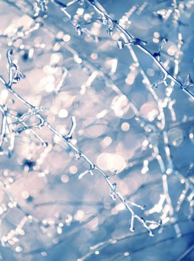 Güzel, doğal bir arka planda buz gibi parlayan sihirli çiçekler. Sanat fotoğrafı. seçici odak.