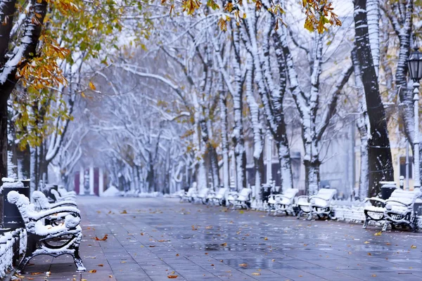 Boulevard with fallen yellow leaves and the first snow. Benches covered with snow along the alley. The historical part of the old city. Odessa. Primorsky Boulevard. Ukraine.