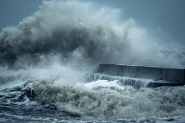 Denizde şiddetli dalgalar ve dalgaların püskürtüldüğü martılar. Denizde fırtına. Karadeniz. Odessa.