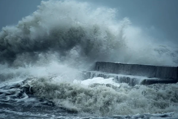 Enormes Olas Furiosas Mar Gaviotas Rocío Las Olas Tormenta Mar —  Fotos de Stock