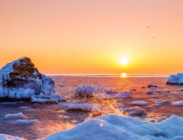 Dawn on the shore of the sea in winter. Snow drifts on the shore and stones frozen in ice.