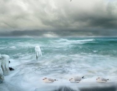 Kış deniz manzarası. Dramatik gökyüzü ve azgın deniz. Uzun pozlama. Sanatsal minimalist fotoğraf. Buzlu deniz ve martı kuşları kıyıda.