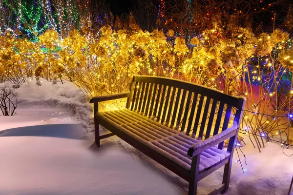 A bench in a magical winter garden in the snow with a fabulous illumination of plants around with magical lights and garlands. Winter night view of a festive decorated garden for the holidays of Chris