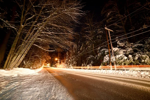 Kardaki ağaçların arasında bir kış yolunun gece fotoğrafı. Usa. Maine Portland