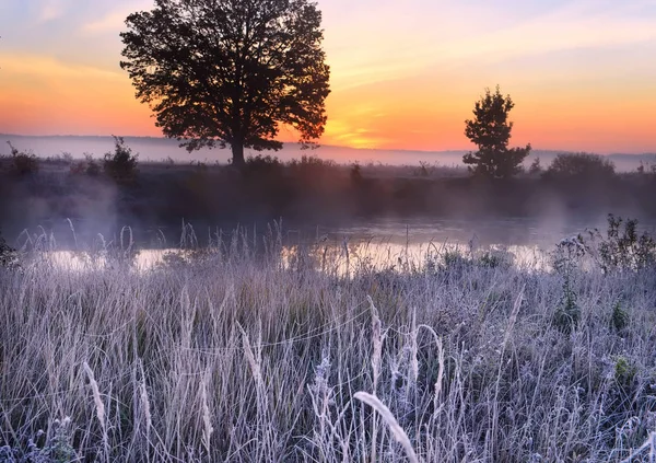 Misty Frosty Morning River Grass White Hoarfrost Smoke Water Sun — Stock Photo, Image