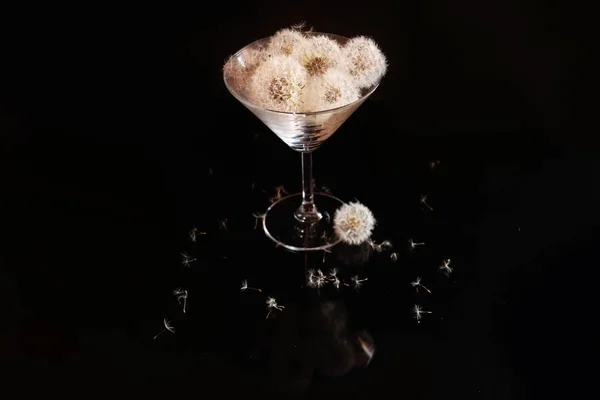 Fluffy White Flowers Dandelions Glass Black Background — Stock Photo, Image