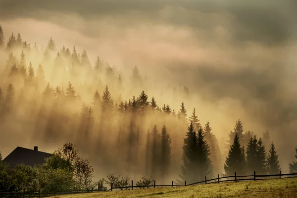 Fantastische Aussicht Auf Den Frühen Morgen Den Bergen Silhouetten Von — Stockfoto