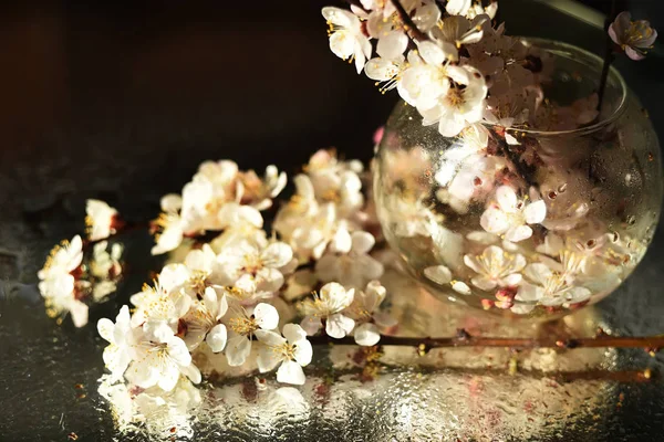 Délicates Fleurs Blanches Printanières Cerisier Branches Avec Des Fleurs Blanches — Photo