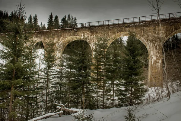 The train rides on an old stone bridge viaduct in the coniferous forest. Winter landscape. Ukraine. Vorokhta. Carpathians. Viaduct in Vorokhta - a stone arch railway bridge over the Prut River in the Ivano-Frankivsk region in the village of Vorokhta.