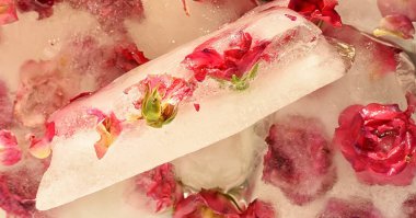 Soyut doğal çiçek arkaplanı. Buz içinde küçük kırmızı güller. Buzlu arka plan. Çok yumuşak bir odak. Eski.