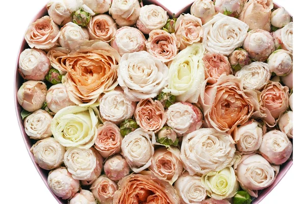 Нежные Бутоны Мелких Пастельных Роз Стиль Прованса Фон Маленьких Розовых — стоковое фото