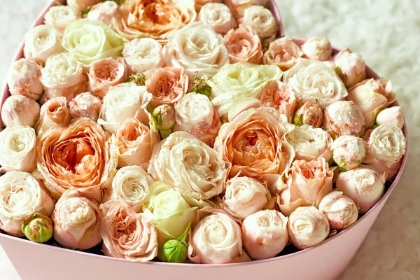 파스텔 장미의우아 꽃봉오리 프로방스 스타일 배경은 부드러운 파스텔 색조의 봉오리들 — 스톡 사진