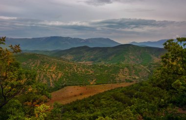 Yeşil tepe dağlarının arasındaki vadideki üzüm bağlarının manzarası. Dağlarda üzüm bağları.