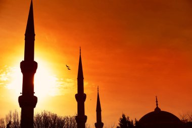 Camilerin siluetleri gün batımına karşı kızıl gökyüzü ve uçan kuşlar. İstanbul. Türkiye.